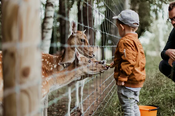 Day Trips From Tel Aviv With Kids