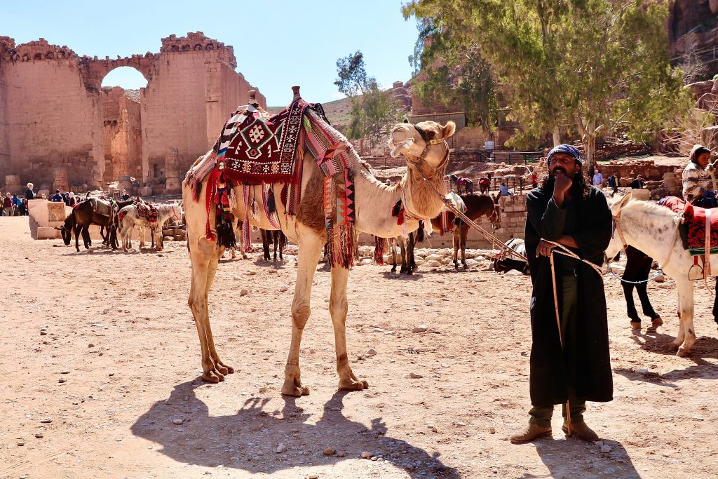 Tour Tel Aviv Petra