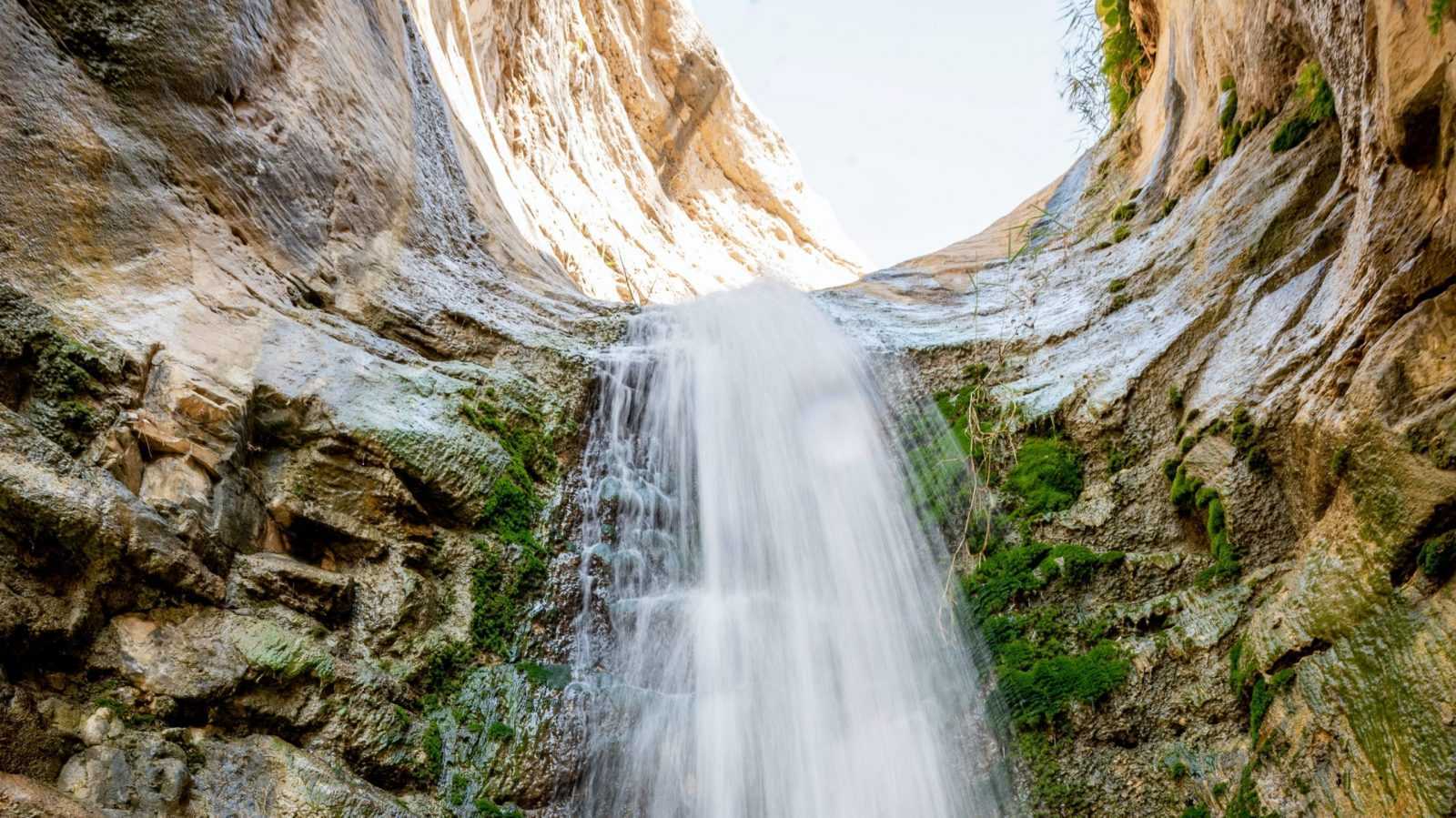 Ein Gedi Nature Reserve