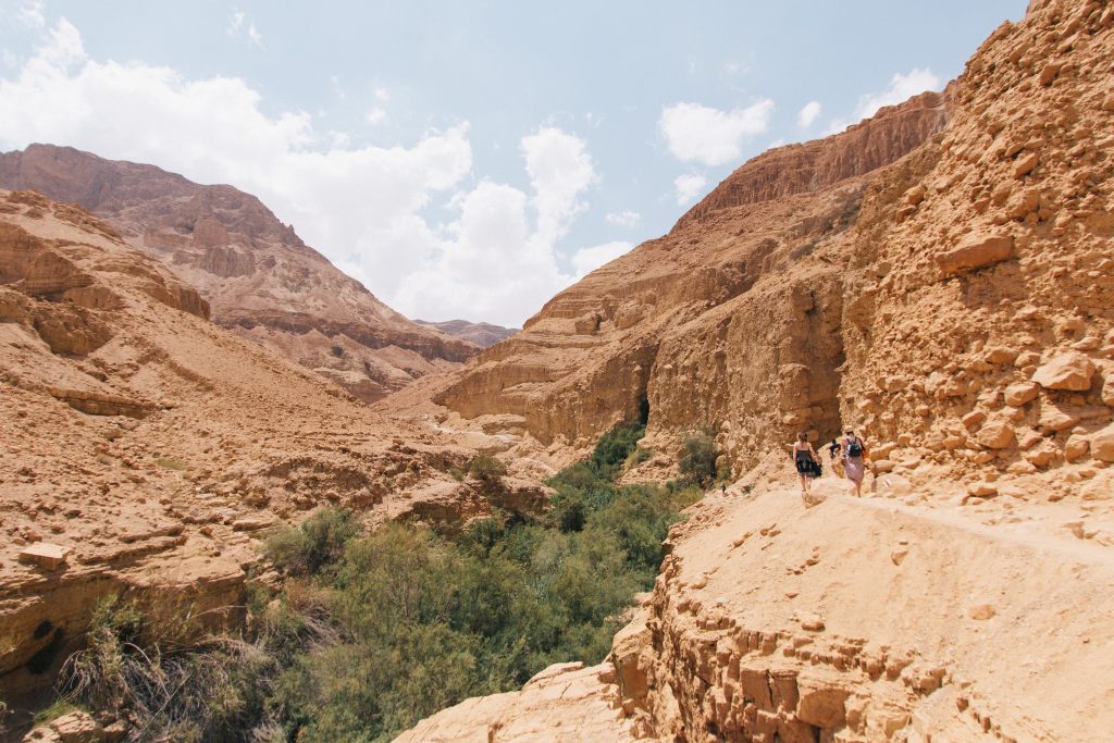 Ein Gedi Nature Reserve